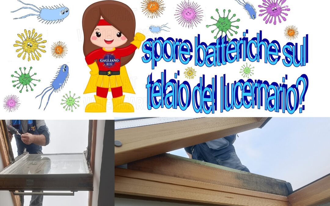 Spore batteriche sul telaio di legno del lucernario come toglierle? Istruzioni.