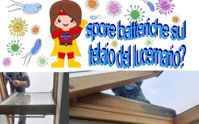 Spore batteriche sul telaio di legno del lucernario come toglierle? Istruzioni.